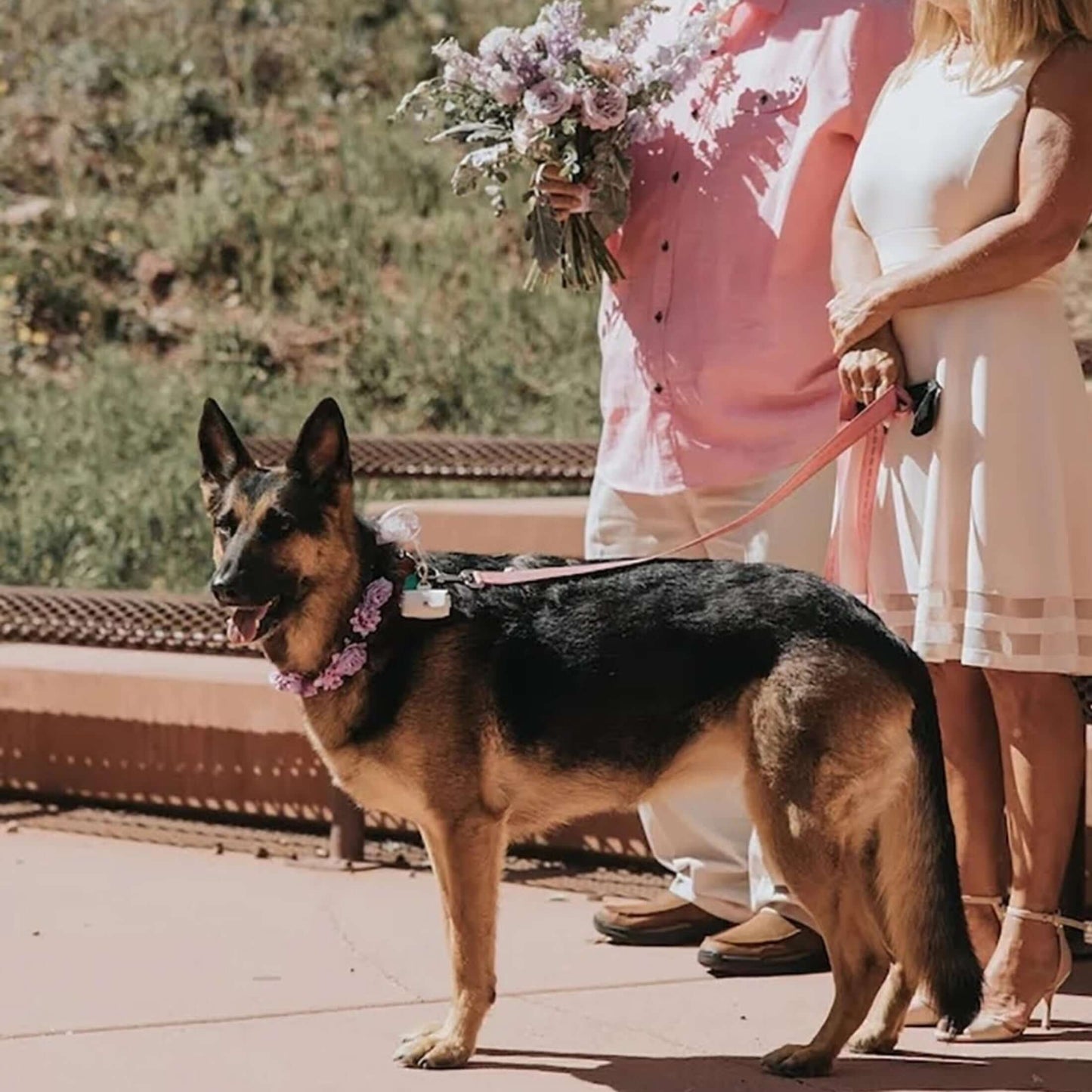 Faites apporter vos alliances par votre plus fidèle compagnon le jour de votre mariage grâce à cette boîte à alliances à accrocher au collier de votre chien